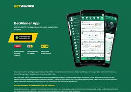Maximize Your Earnings with the BitStarz Affiliate Program Maximize Your Earnings with the BitStarz Affiliate Program